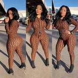 Ms Fendi
