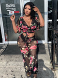Ms Tropical