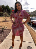 Copy of Ms Sophisticated