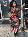 Ms Tropical